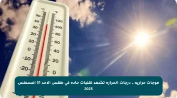 موجات حرارية.. درجات الحرارة تشهد تقلبات حادة في طقس الأحد 31 أغسطس 2025